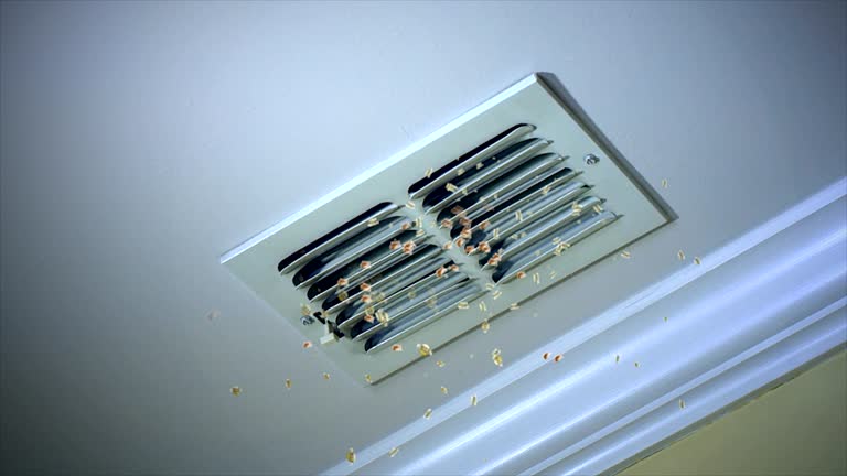 Best Air Duct Cleaning Near Me  in Silverdale, WA